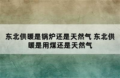 东北供暖是锅炉还是天然气 东北供暖是用煤还是天然气